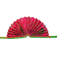 Wholesale African Print Folding Hand Fans (8)