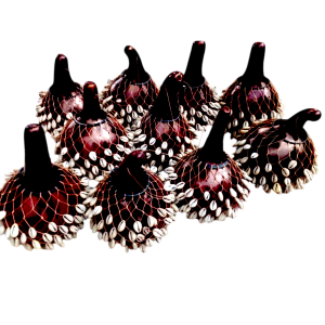 Cowrie Shell Gourd Shakers